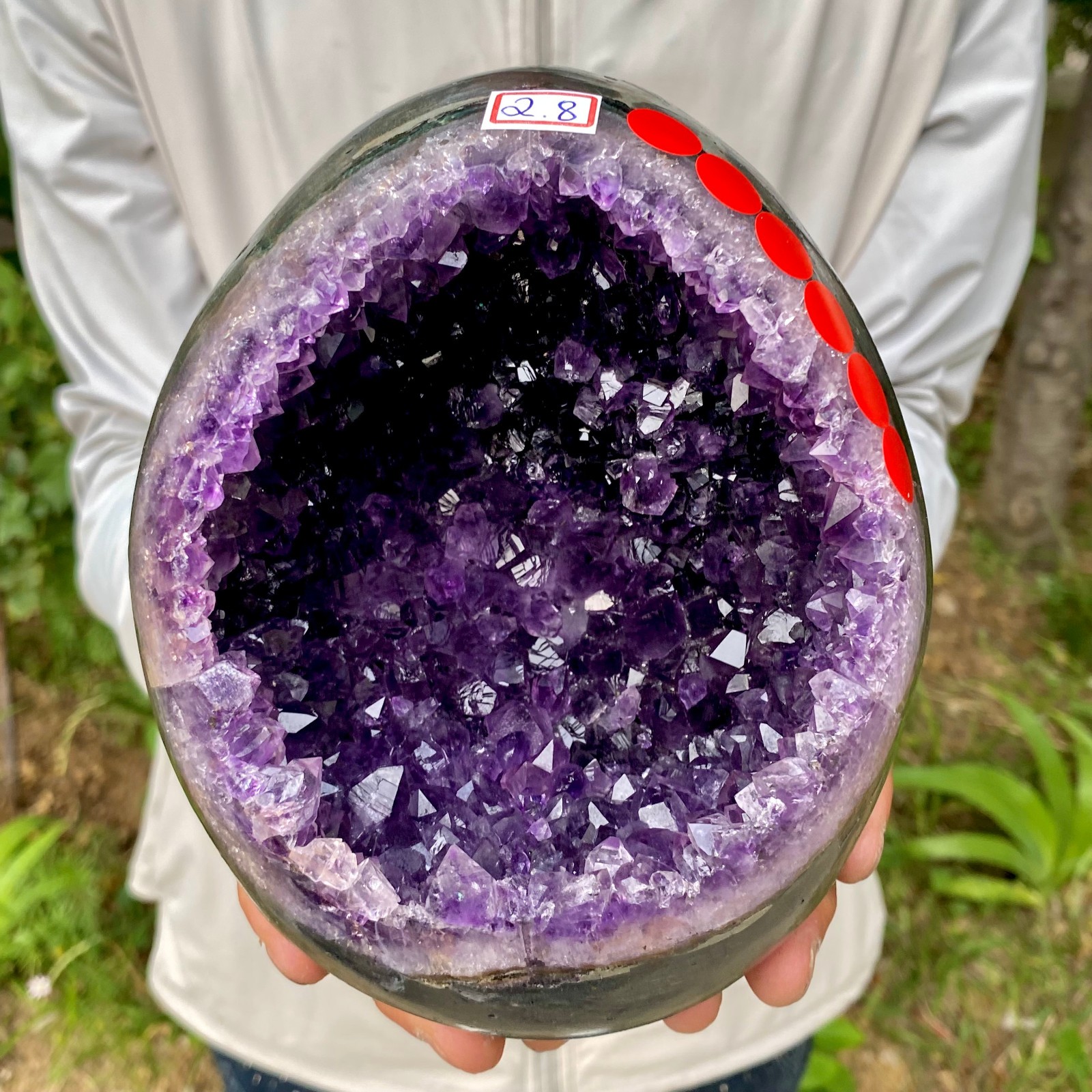 6.17LB High quality Natural Amethyst geode quartz crystal Dinosaur egg healing
