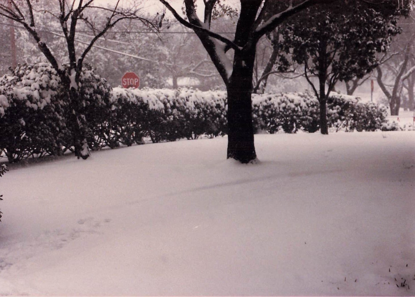 Snowy Street Scene 1970s Snapshot Photograph Winter Stop Sign Americana