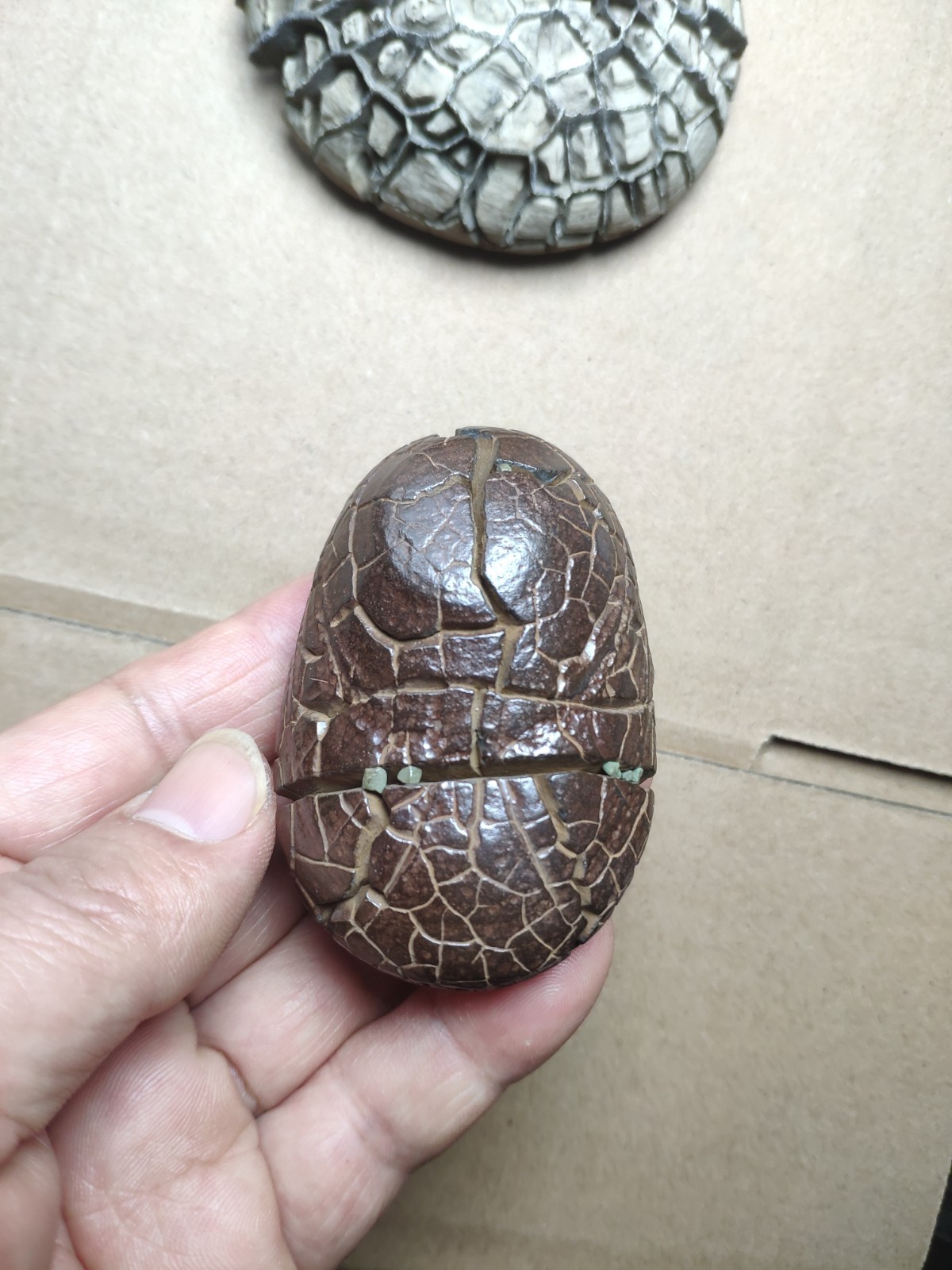 182g beautiful tortoise back pattern stone Turtle grain stone Landscape stone