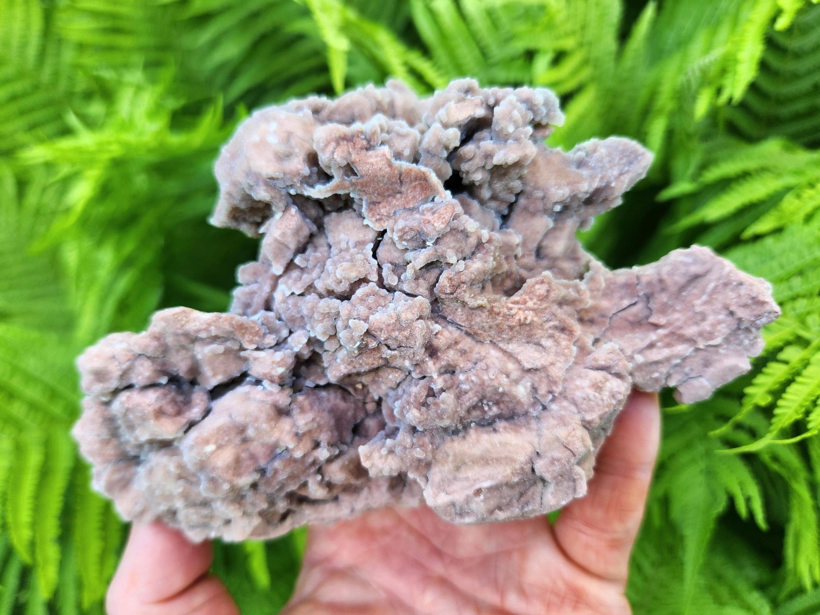 Raw Youngite Specimen, 1 lb 3 oz, Wyoming, 6″ Width, Botryoidal Formations, Rare