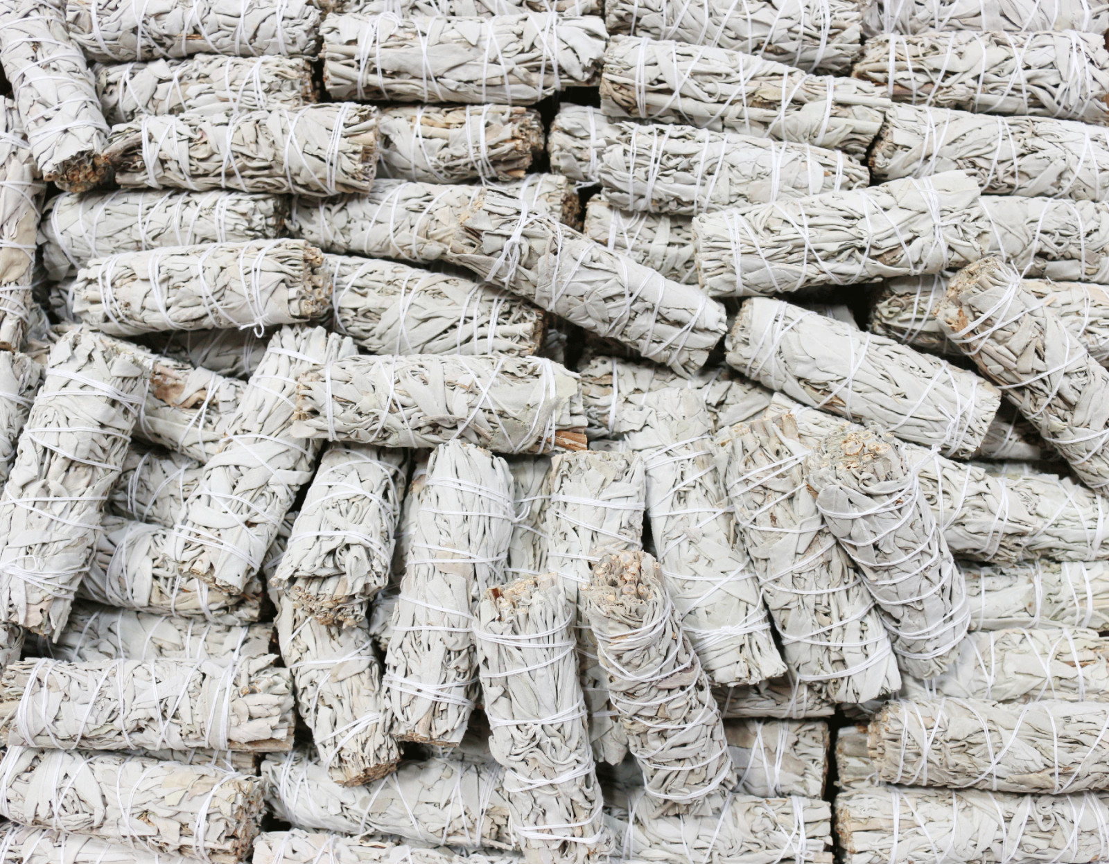 Bulk White Sage Smudge Sticks at Wholesale Cost 100 White Sage Smudge Wands (4″)