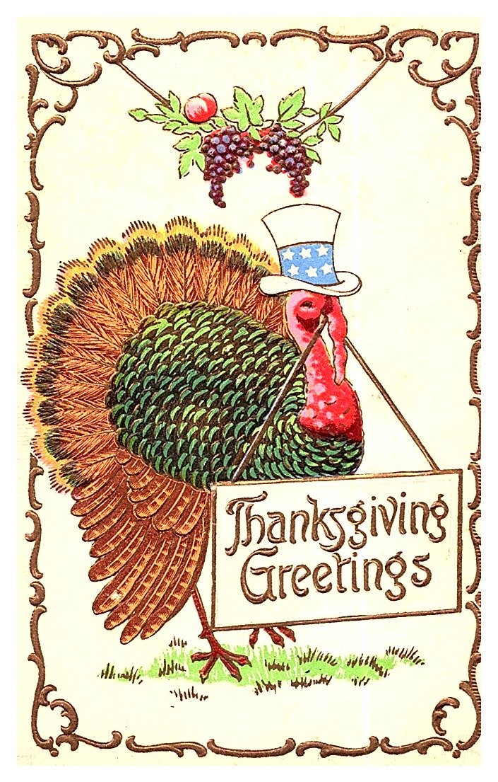 Thanksgiving , Patriotic Tom Turkey