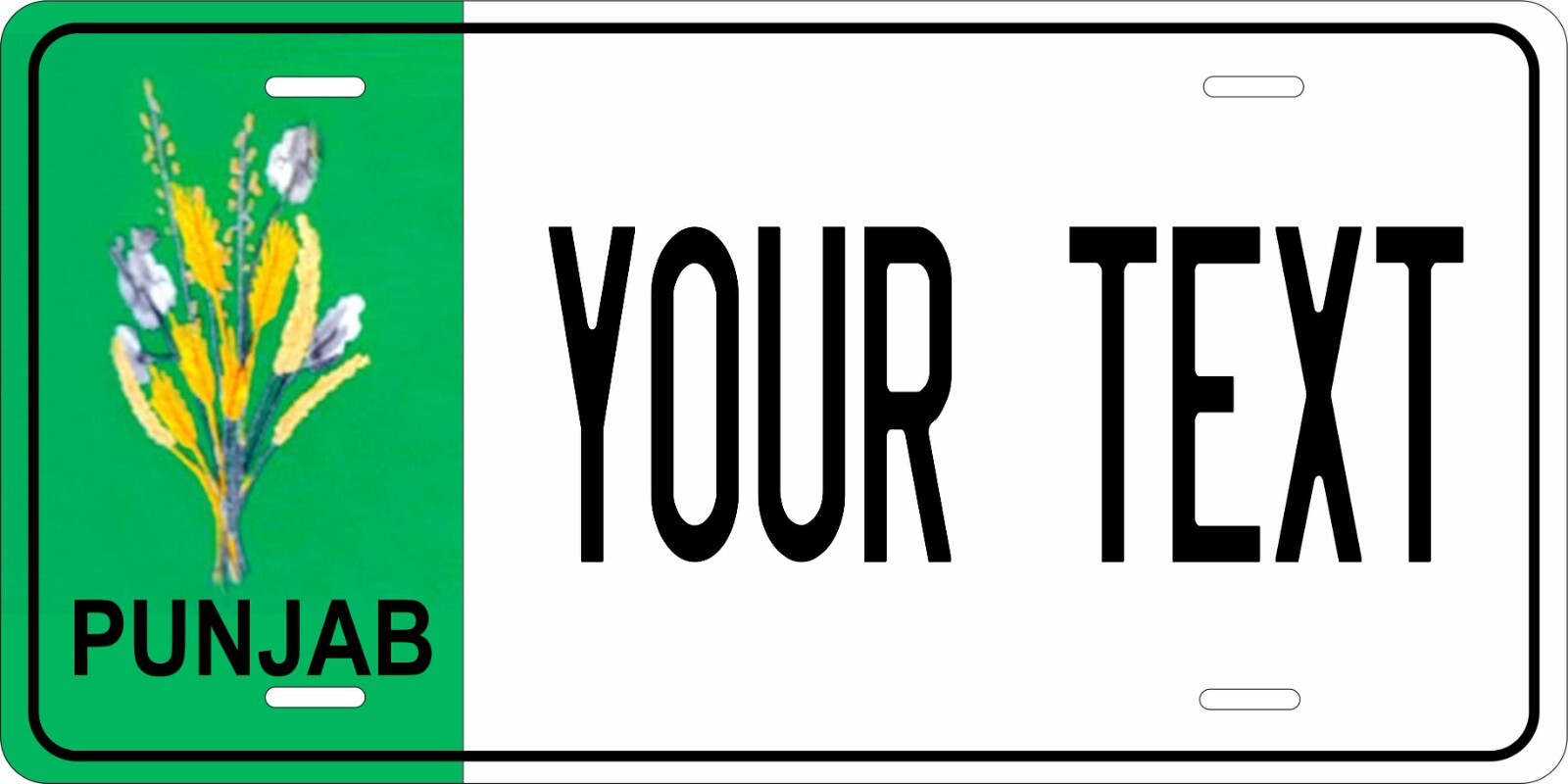 Punjab Asia Custom Personalized License plates Auto Bike Motorcycle