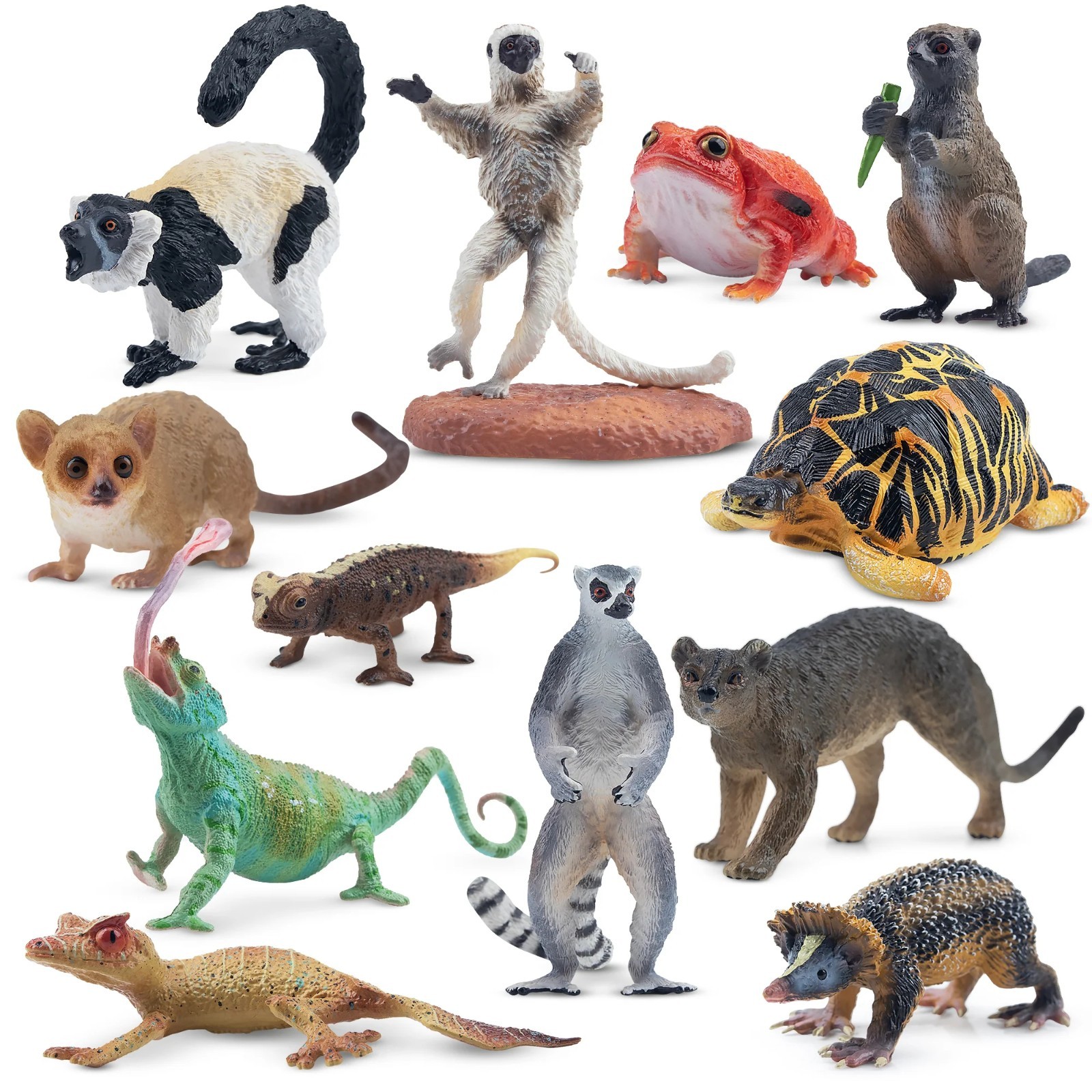 Toymany Madagascar Animal Figurine, Realistic, Collectible Hand-painted Toy Set