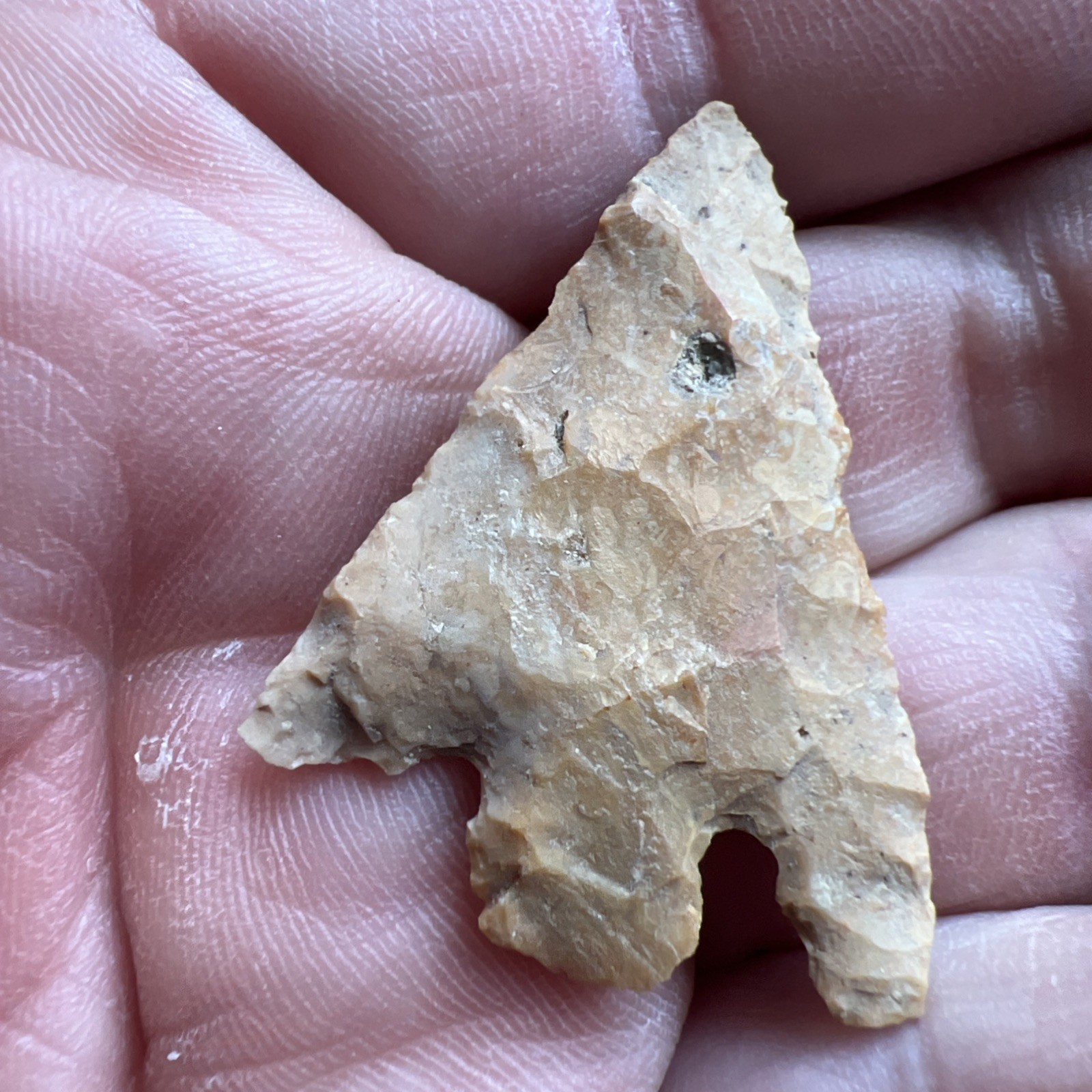Indian Arrowhead Found By Jeff Thompson 1968-2003 In Polk Co Florida @1603