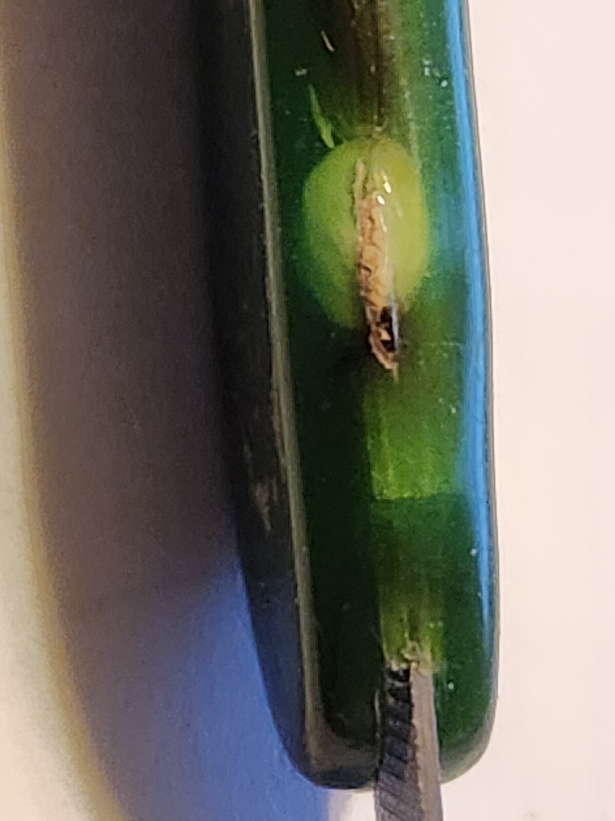 Retractable Nail File Green Plastic Bakelite Celluloid Vintage Advertising Rough