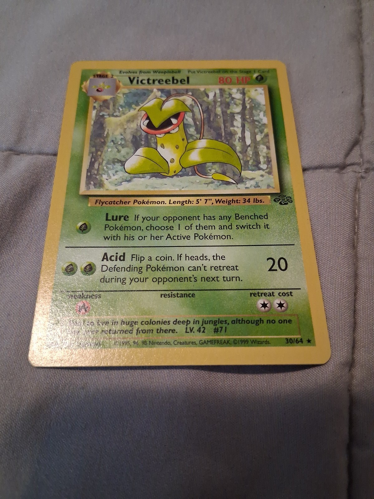 Pokemon Lot
