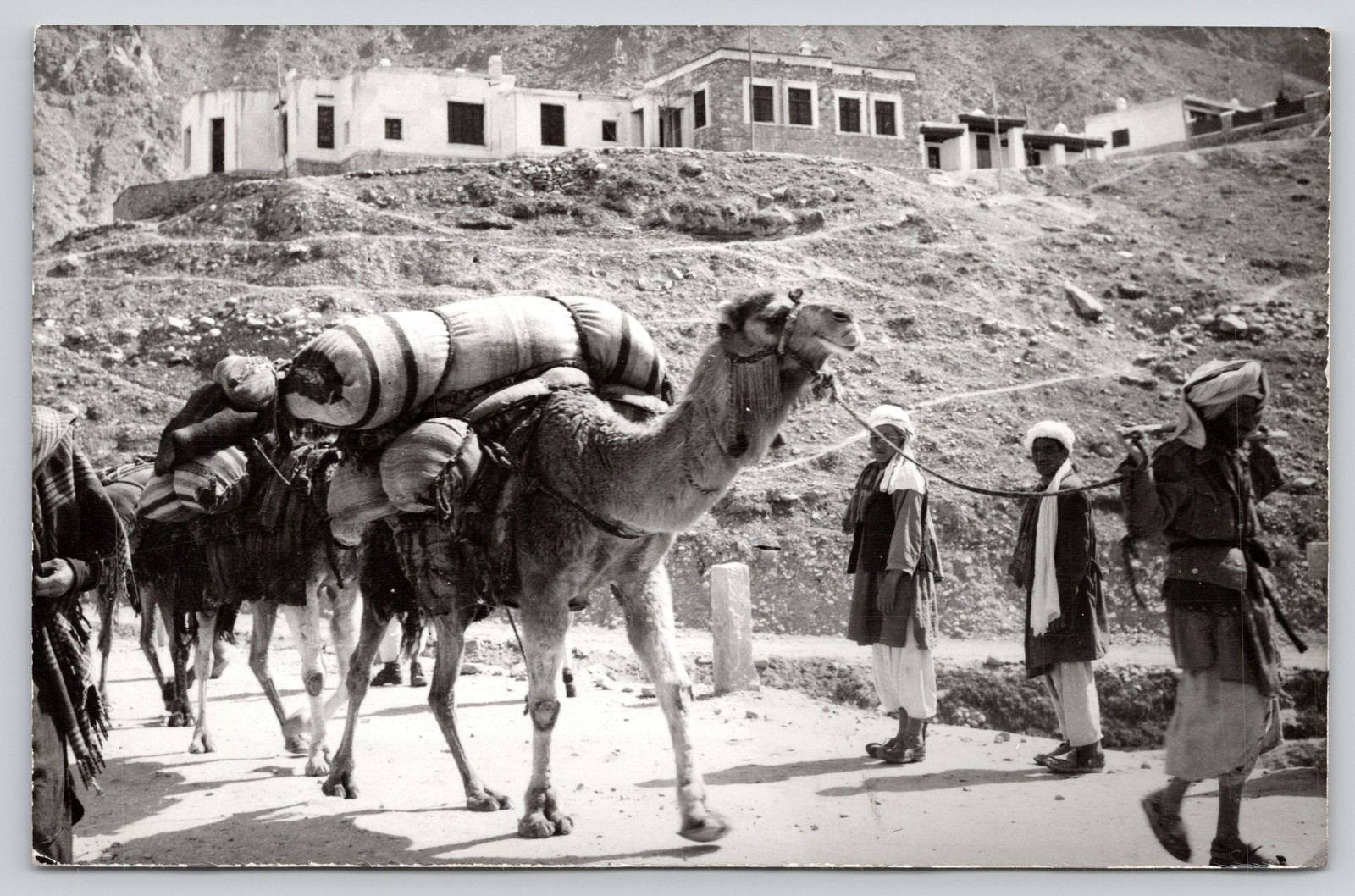 Afghanistan Kabul Camel Caravan Vintage RPPC Real Photo Postcard
