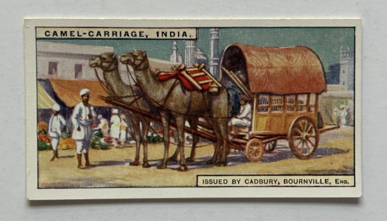 Cadbury Transport No. 17 Camel Carriage Punjab India Tobacco Card CC28
