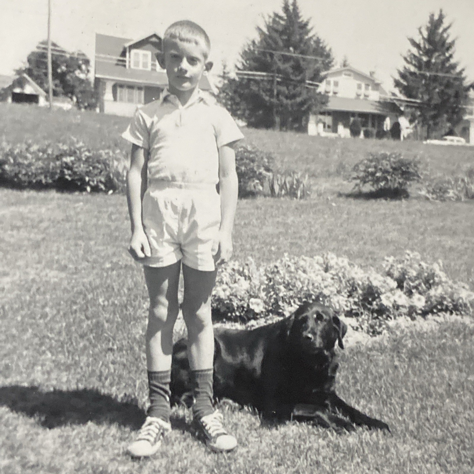 1963 Young Boy & Black Labrador Retriever Dog Flower Homes Original Photo P18m13