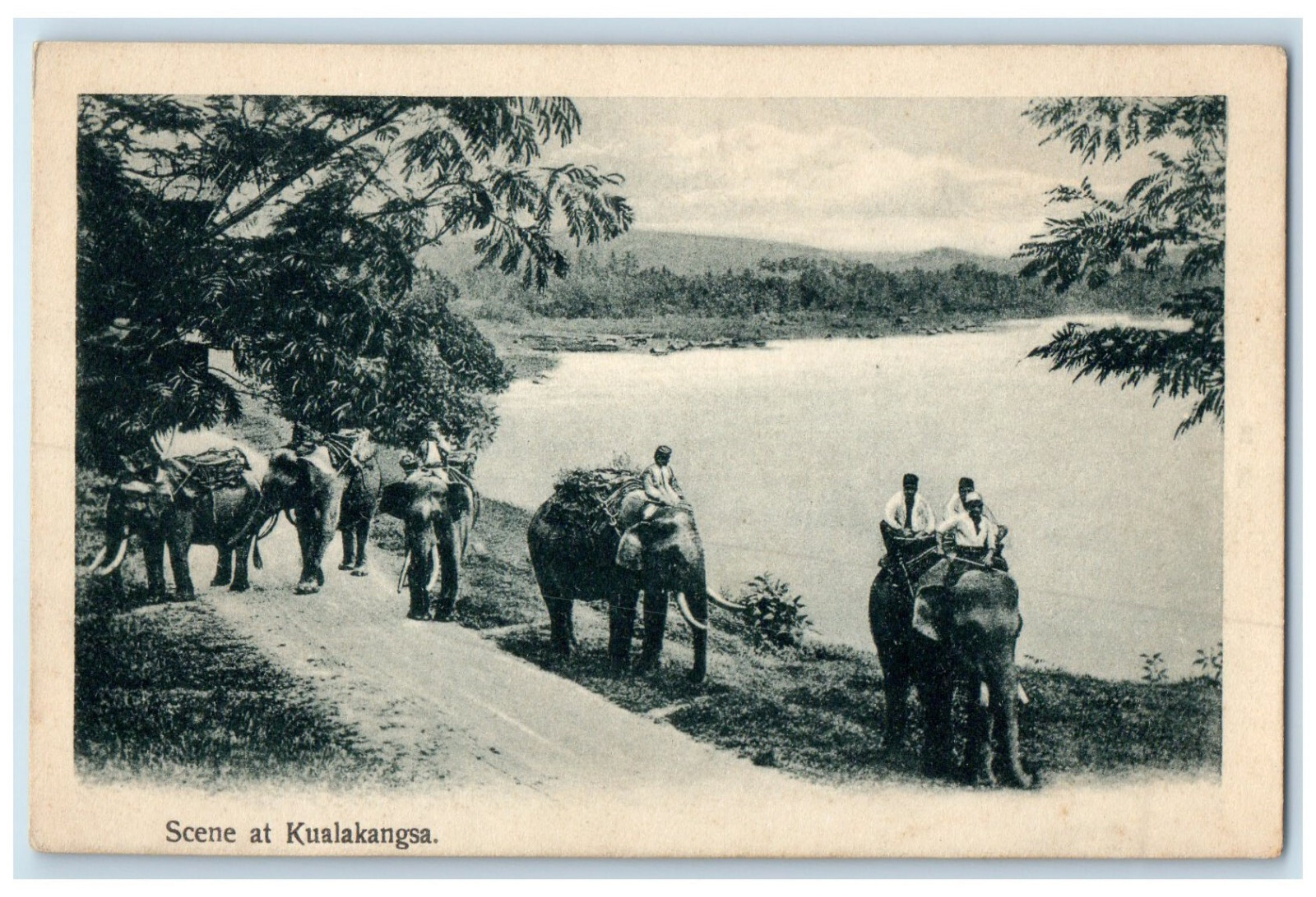 c1930’s Riding Elephants River View Kuala Kangsar Perak Malaysia Postcard