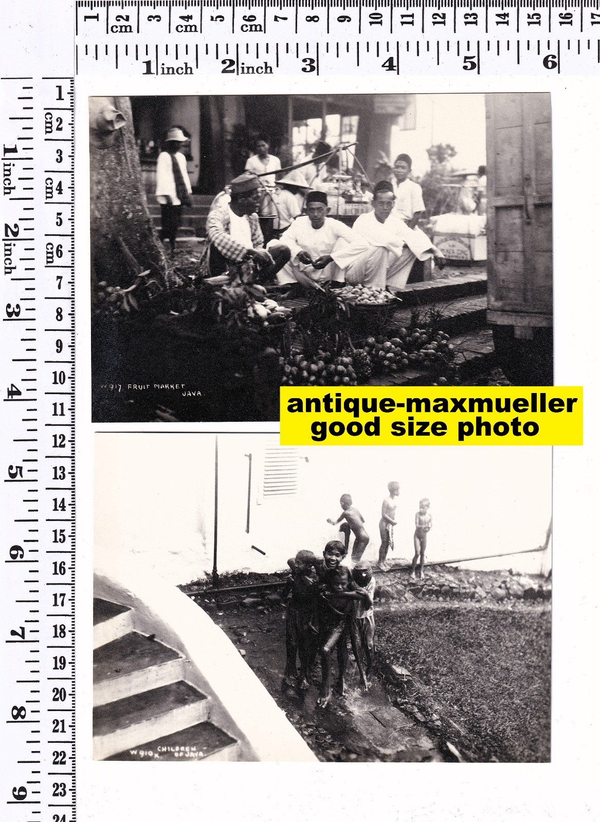 Jawa Java Indonesien Bogor Batavia Netherl India 14x orig photos 1920s good size