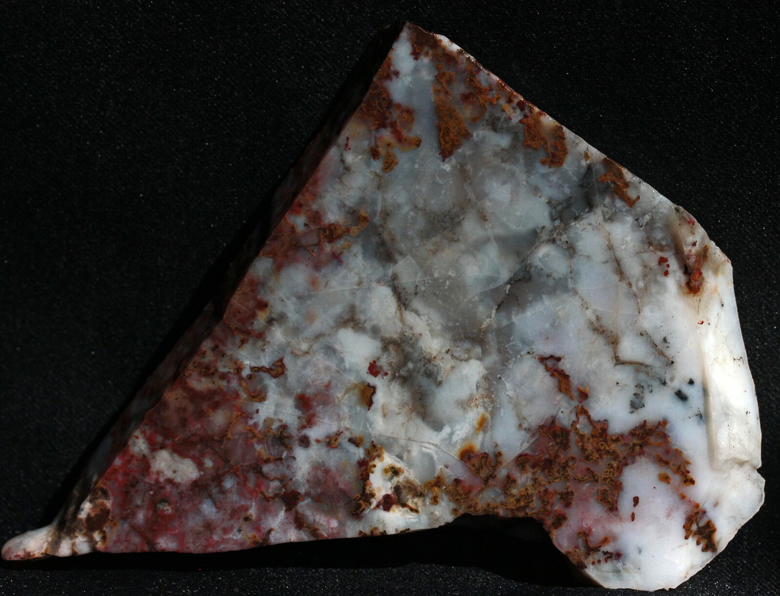 S994 ~ 4.6oz Thick Slab Rare St. John’s Flower Agate ~ Arizona