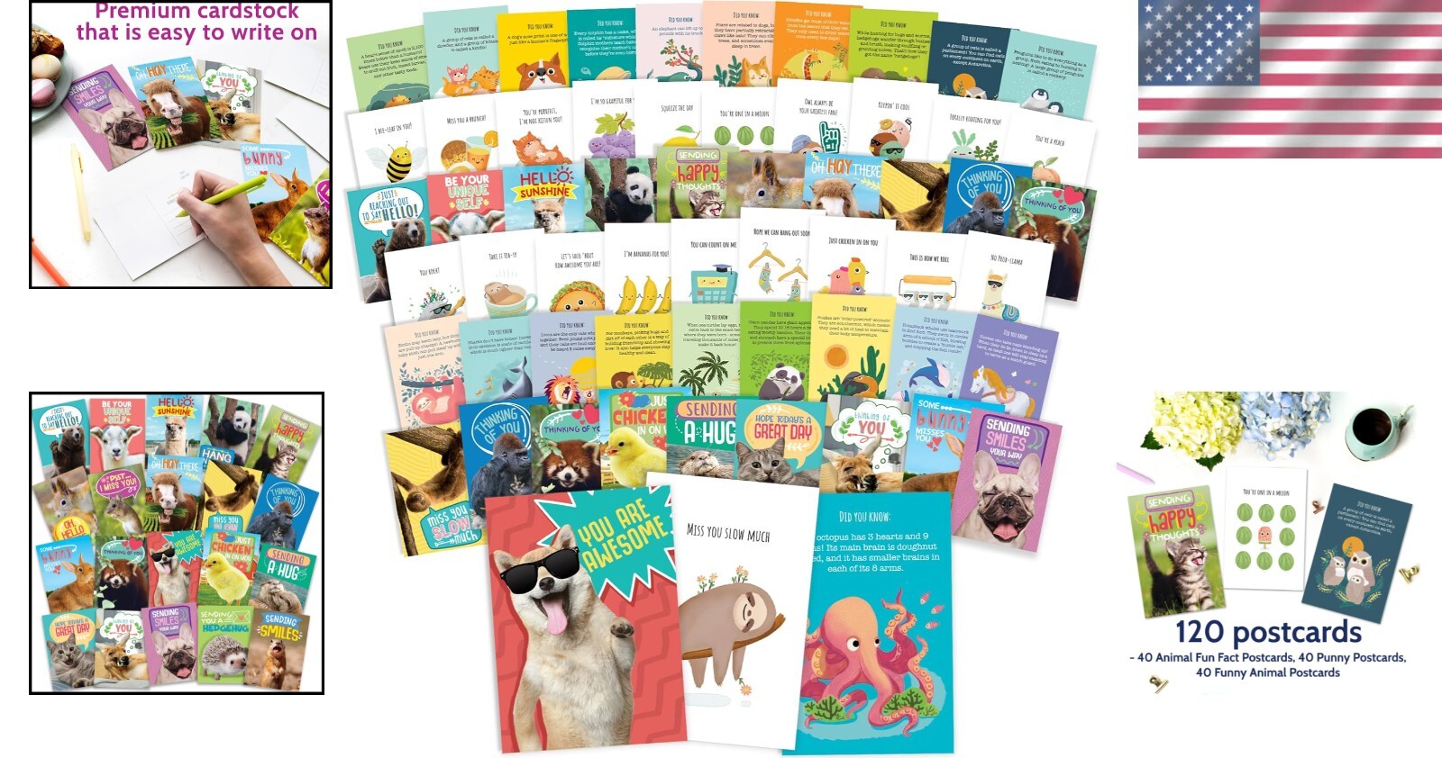 120 Assorted Bulk Postcards with Cute Animals and Funny Puns for All Occasions