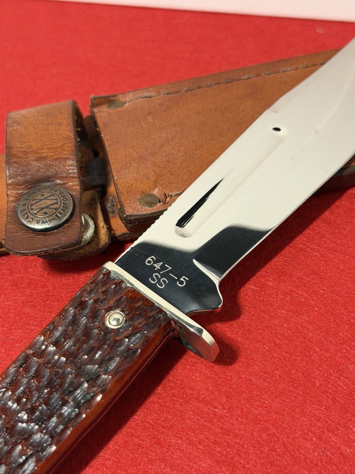 Case XX Slab Side Hunter Large Version 647-5 Chestnut Bone W/ Box Nice