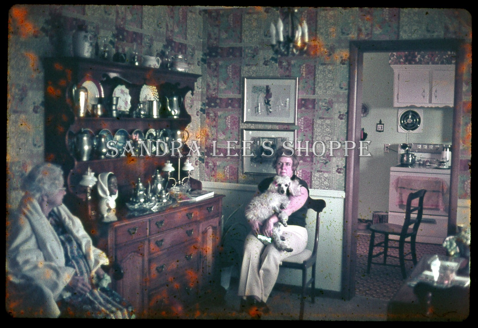 1970s Slide Old Style Dining Room Kitchen Stove Woman Holding Poodle Dog #5270