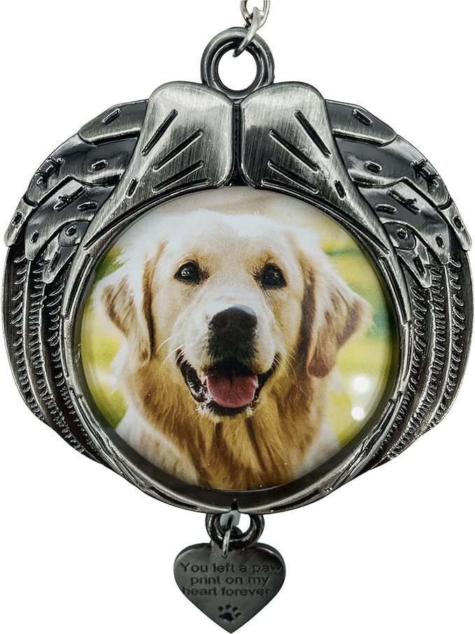 Angel Wing Pet Memorial Frame Ornament You Left A Paw Print On My Heart Forever