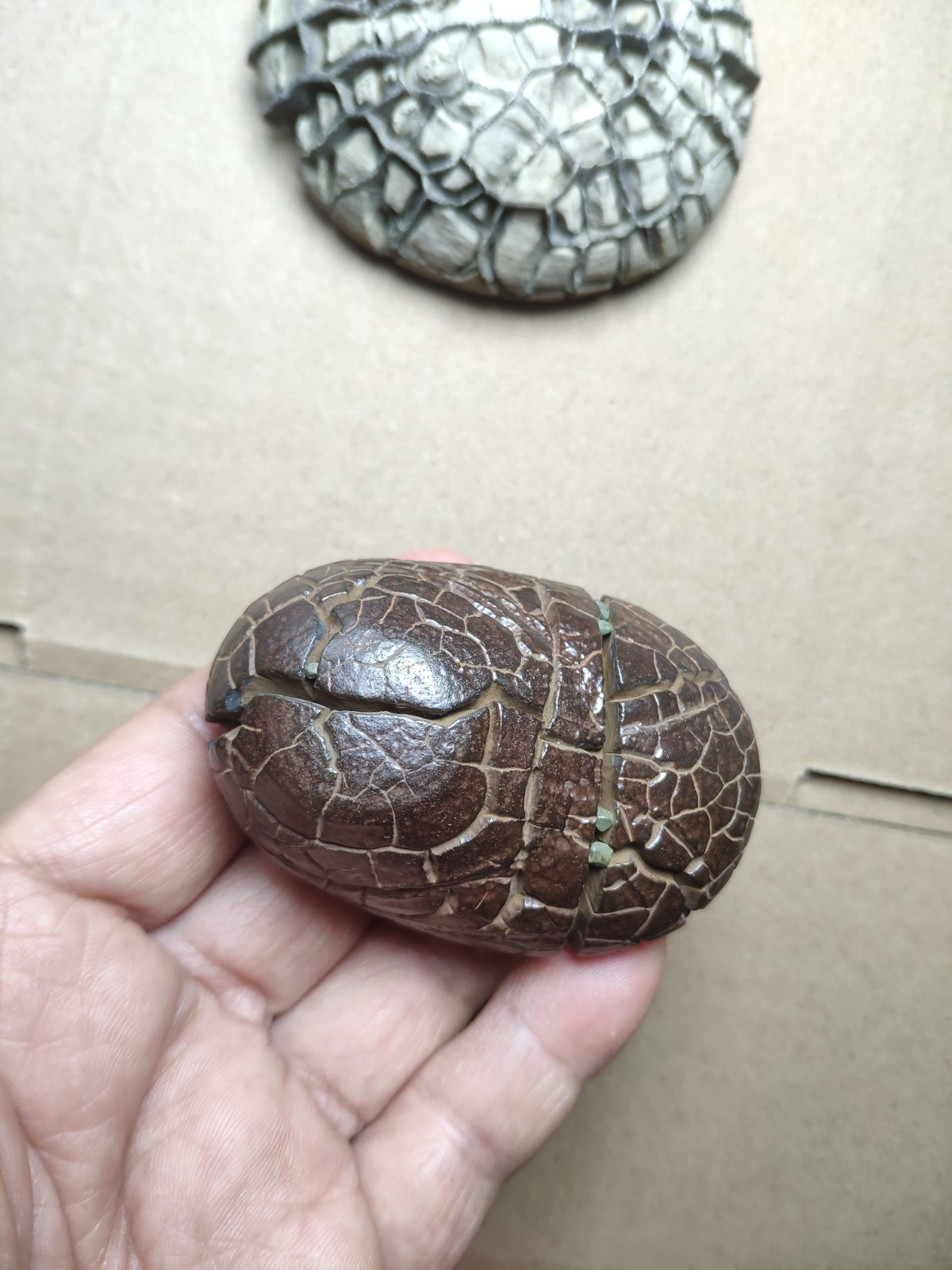 182g beautiful tortoise back pattern stone Turtle grain stone Landscape stone