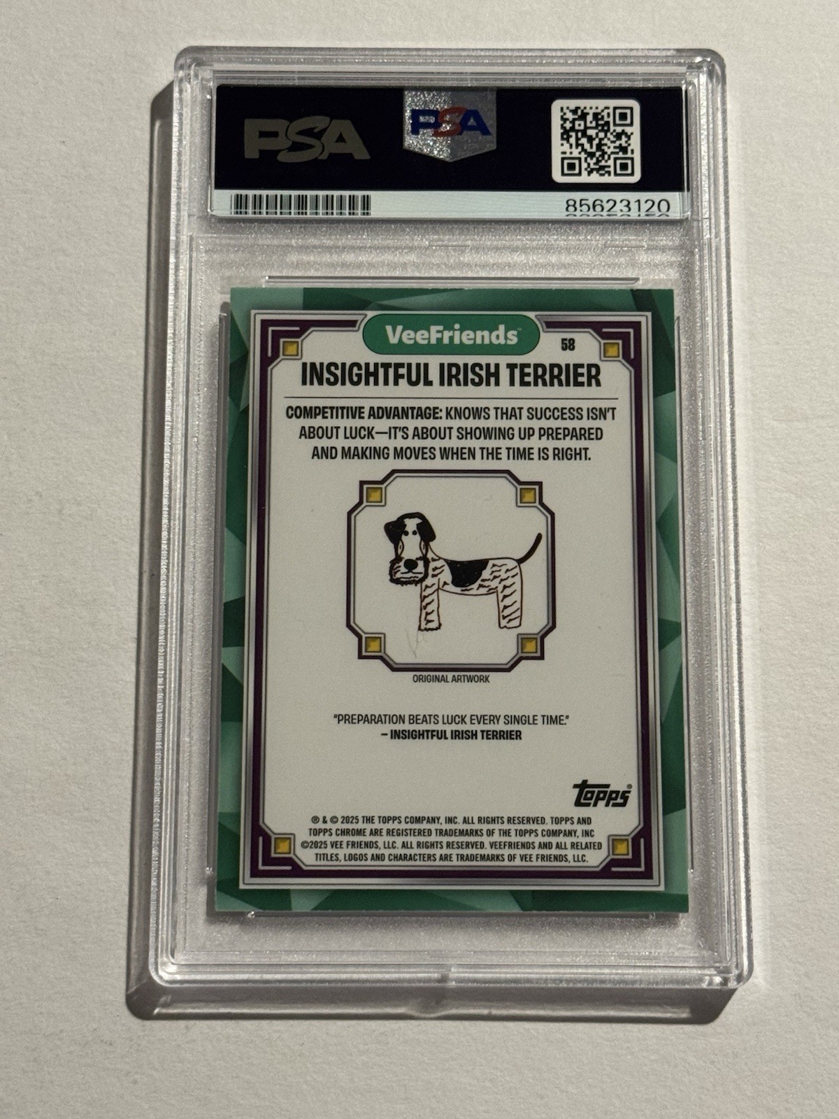 Gary Vaynerchuk SIGNED 2025 Topps Chrome VeeFriends Insightful Irish Terrier PSA