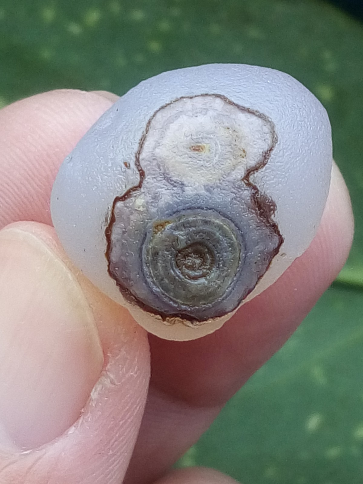 21mm Natural Gobi agate eye agate collection