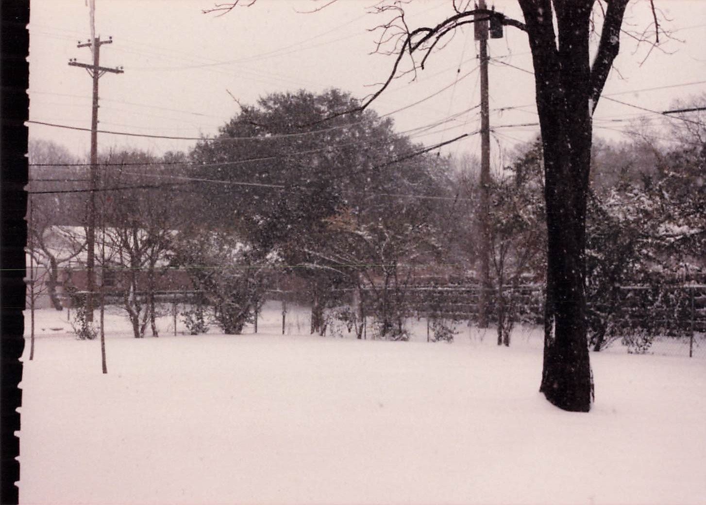 Snowy Winter Landscape 1960s Snapshot Photograph Backyard Scene Trees