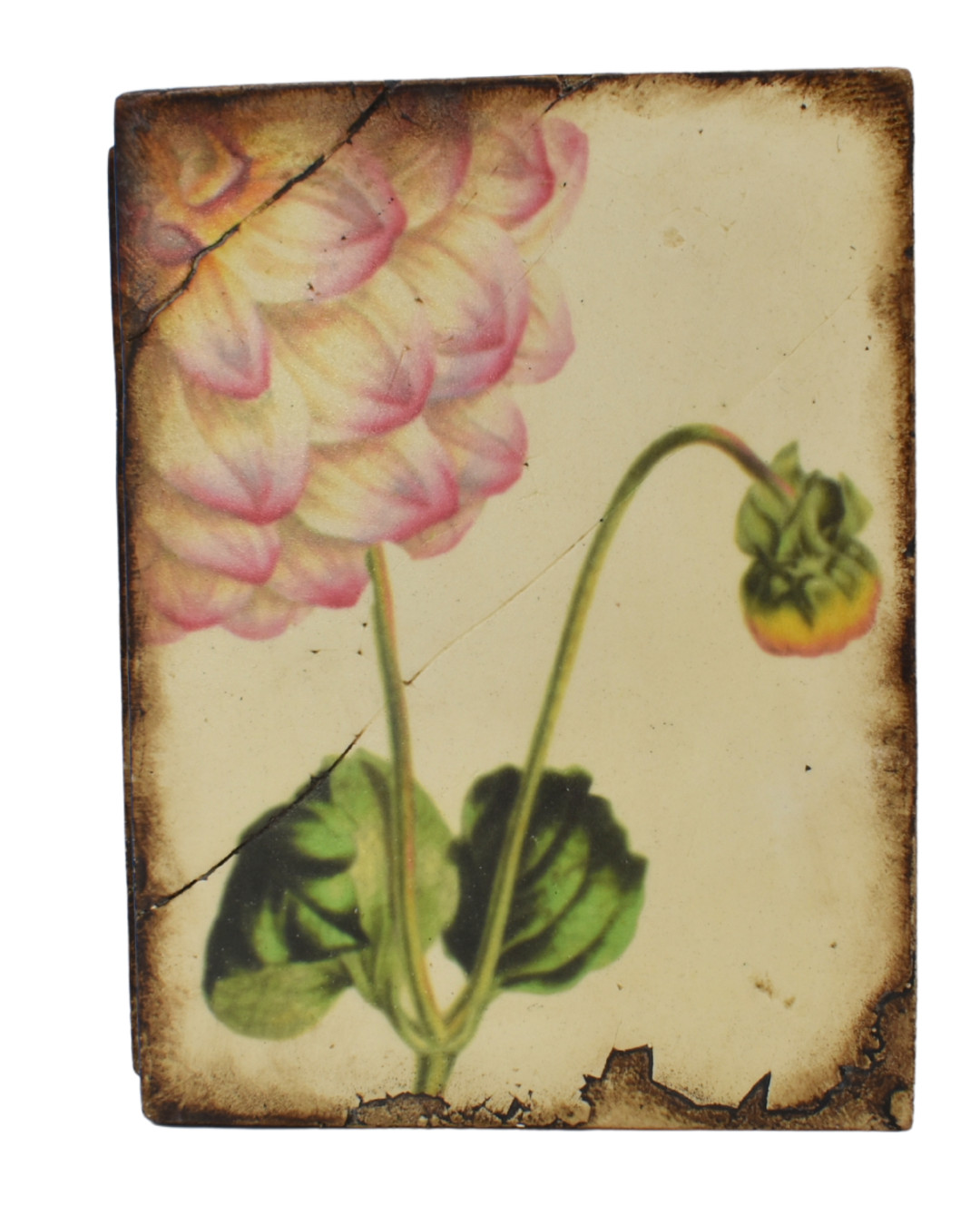 Sid Dickens Memory Tile T144 Dahlia