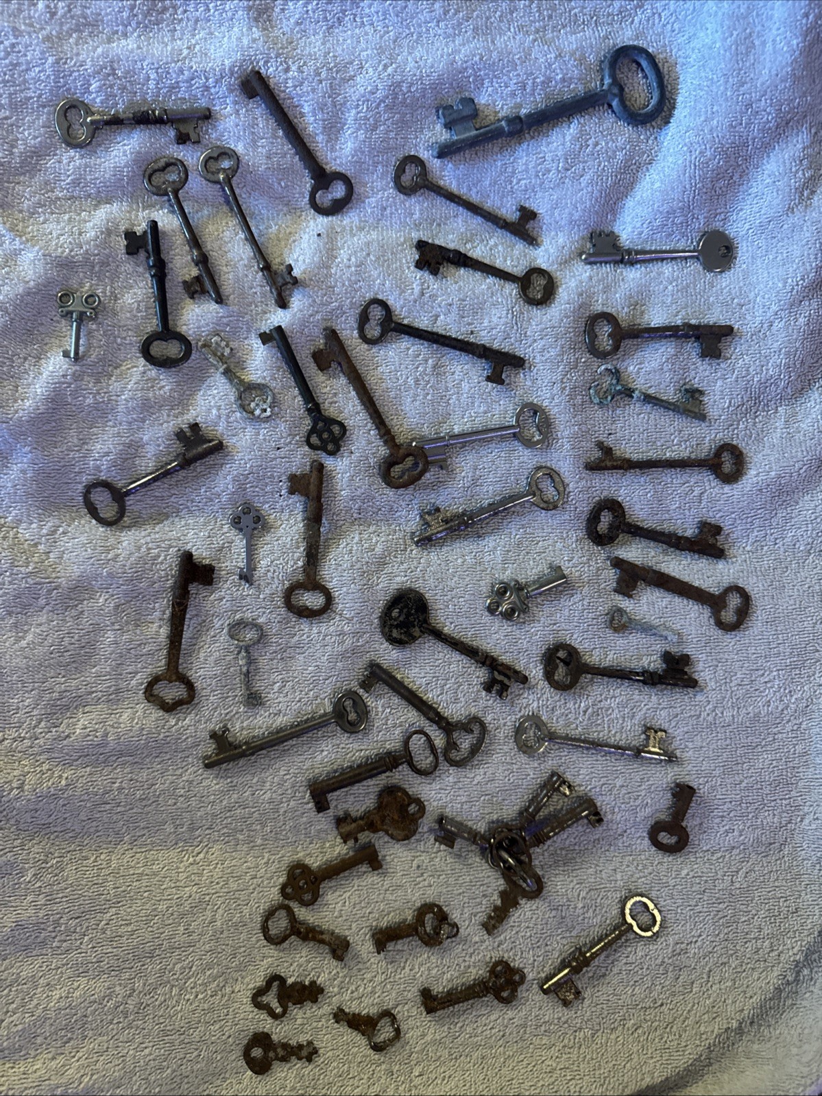 Skeleton Keys Lot