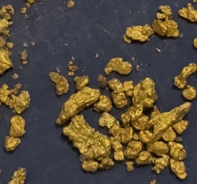 4lb Gold Paydirt Texas Honey Hole Guaranteed Added Pickers Visible Gold