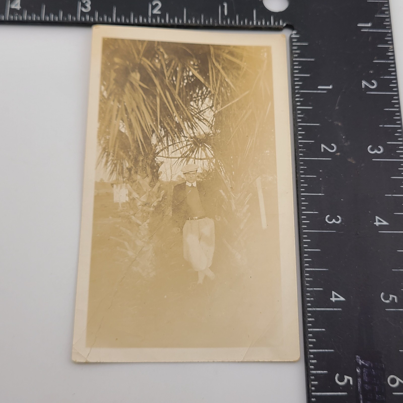 Well Dressed Man Posing with Palm Trees 1920s-1930s VTG Photo