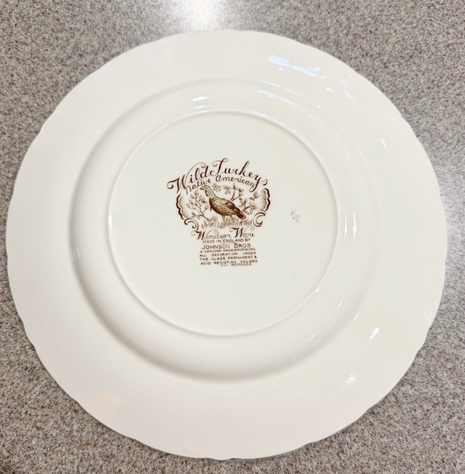 Vintage 1950/60 Johnson Brothers Wild Turkey Native American Dinner Plate 10.5”
