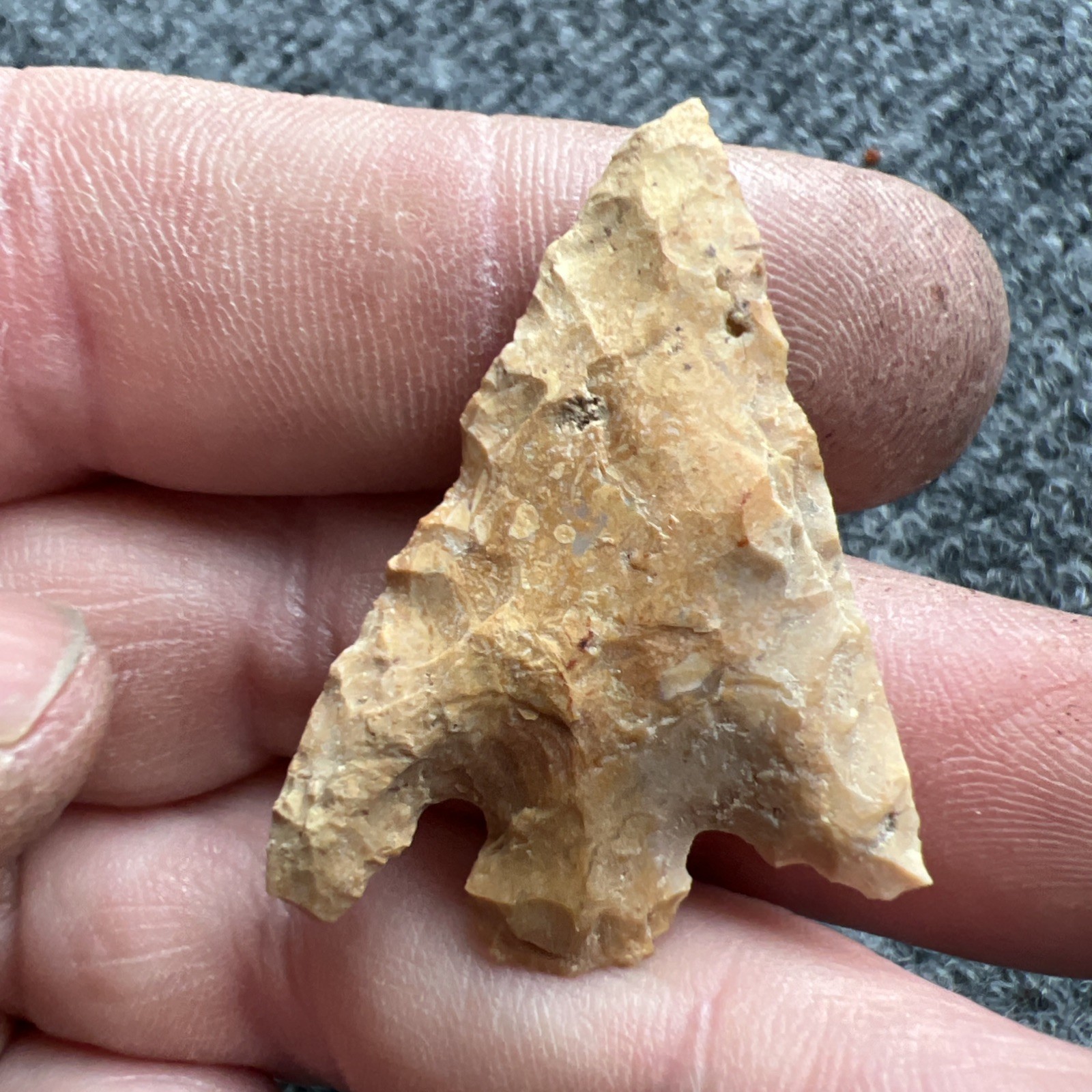Indian Arrowhead Found By Jeff Thompson 1968-2003 In Polk Co Florida @1603