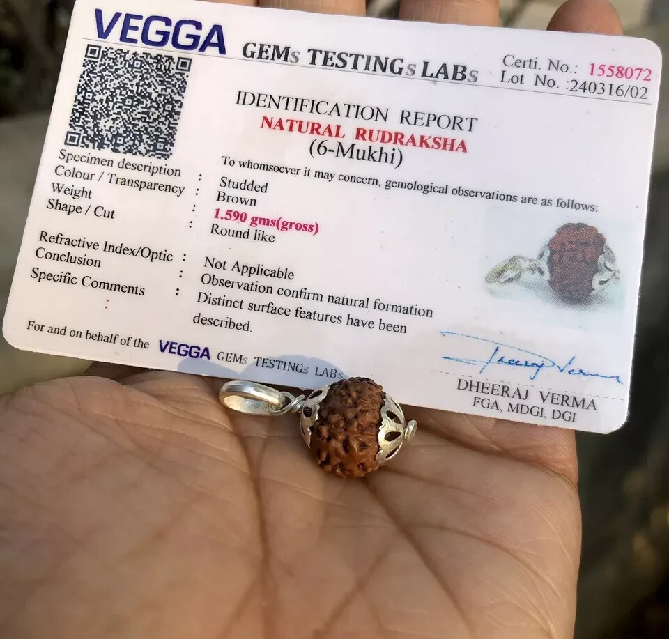 Lab Certified 925 Silver + 6 Mukhi RUDRAKSHA Rudraksh 6 Face Pendant, Original