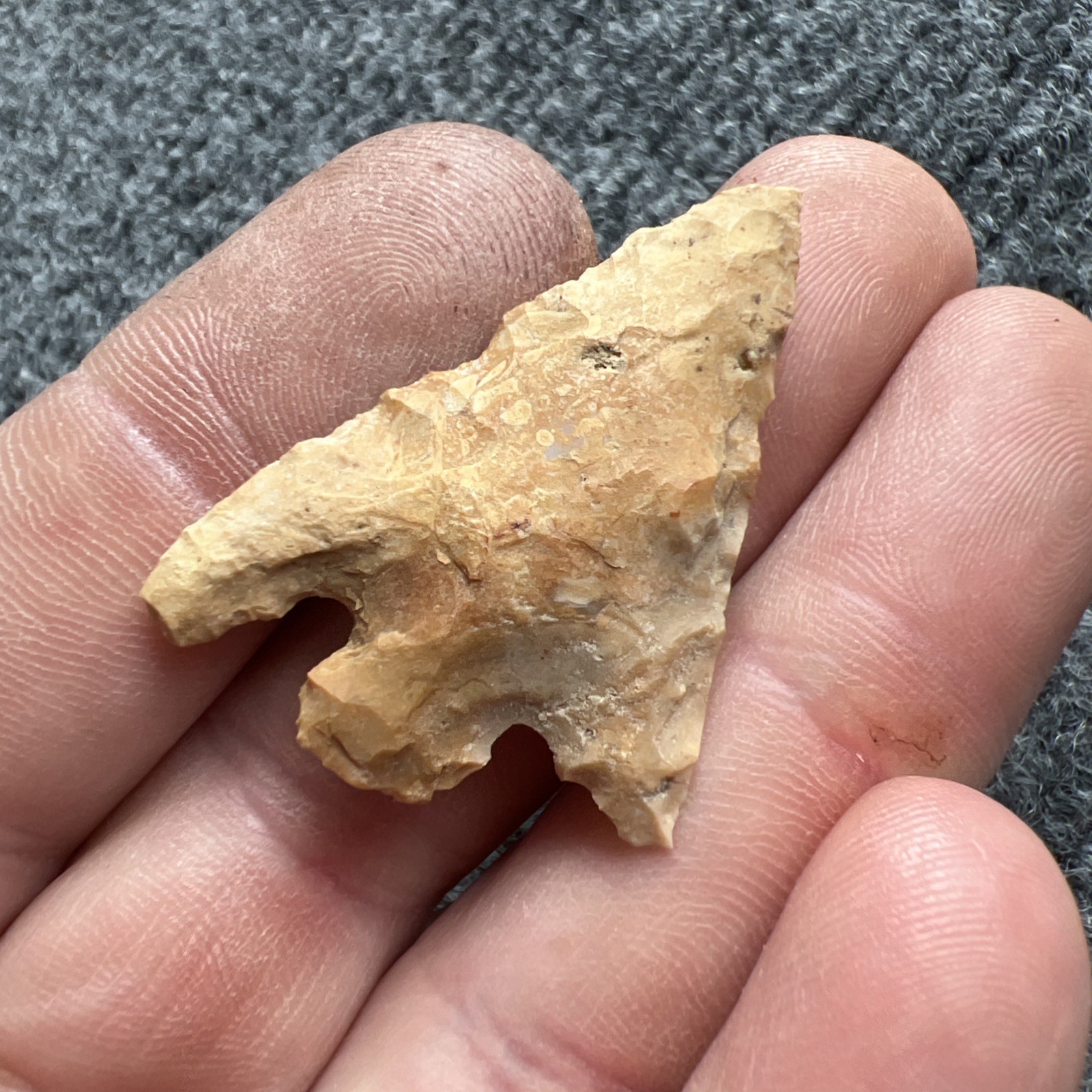 Indian Arrowhead Found By Jeff Thompson 1968-2003 In Polk Co Florida @1603