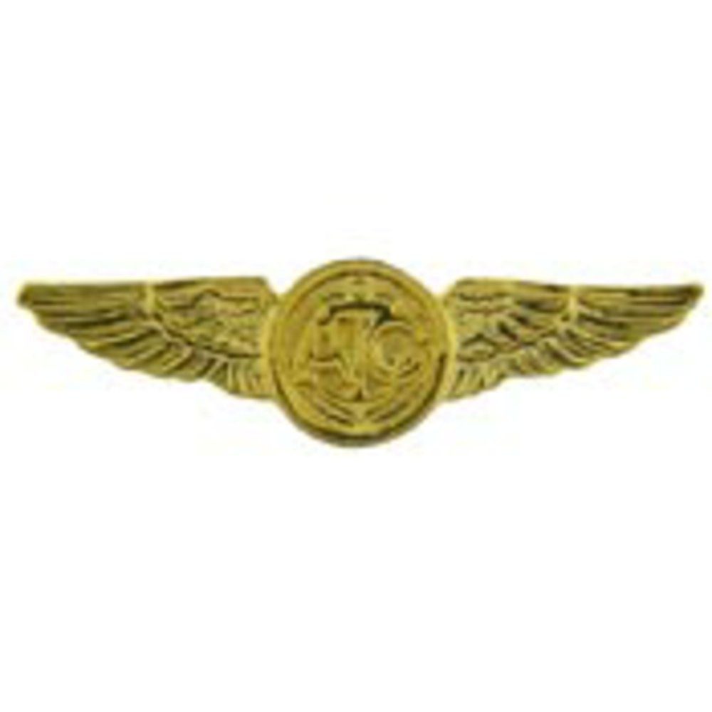 EagleEmblems P12718 Wing-USN,Aircrew,Gold (Mini) (1.5”)