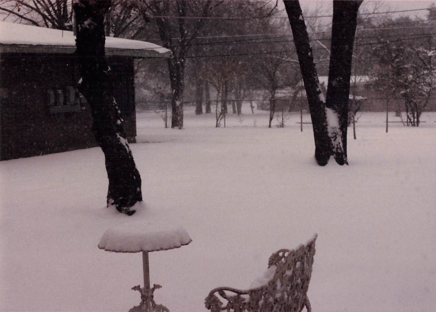 Snowy Backyard Winter 1970s Snapshot Photograph Outdoor Furniture Trees