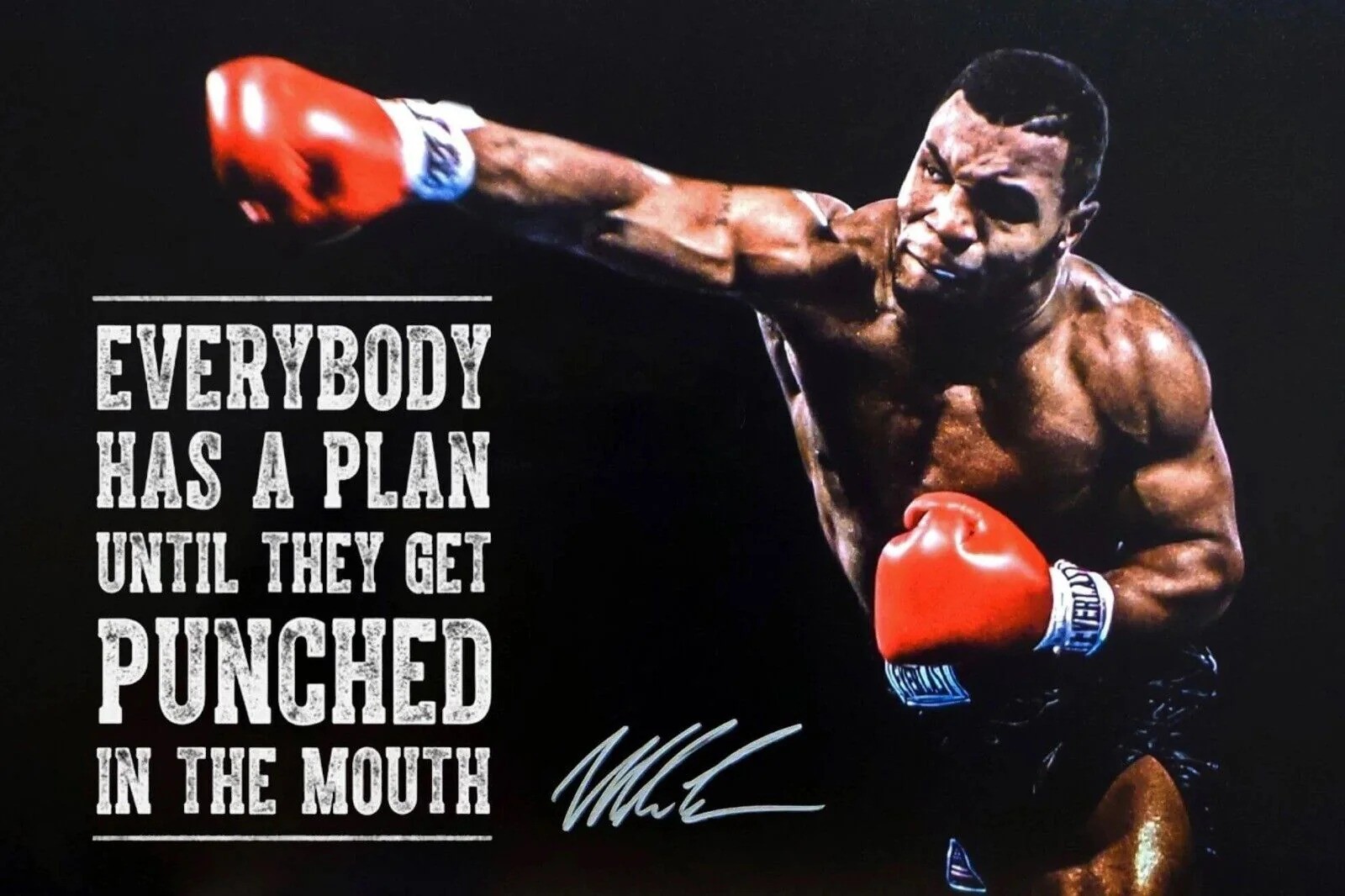 Mike Tyson Iron Mike Boxing Legend Everybody Has A Plan Quote Photo Reprint