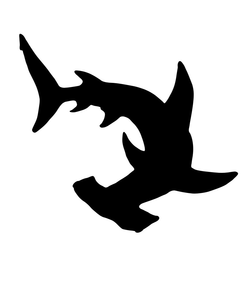 New Hammerhead Shark Permanent Vinyl Decal Sticker Black or White 5” Custom