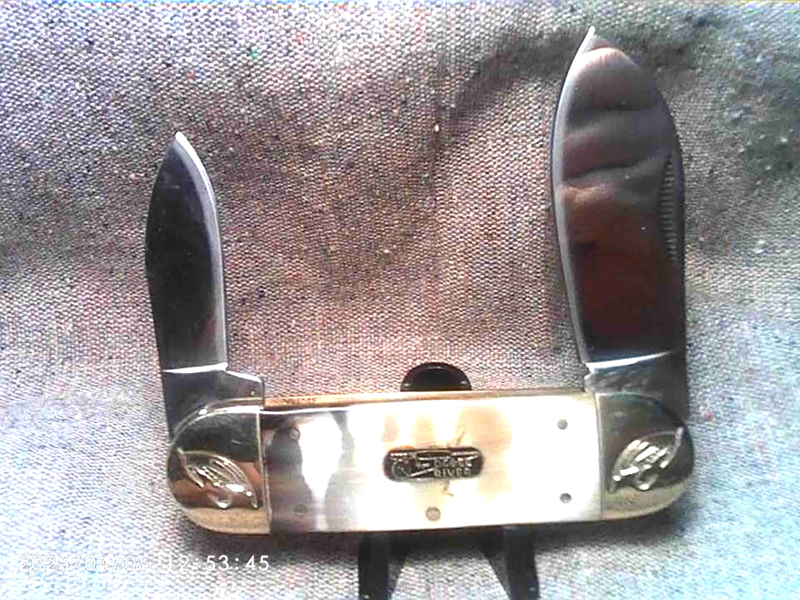LARGE SUNFISH ELEPHANT TOENAIL KNIFE OX HORN HANDLES +SHIELD DUAL BLADES, 4-1/4″