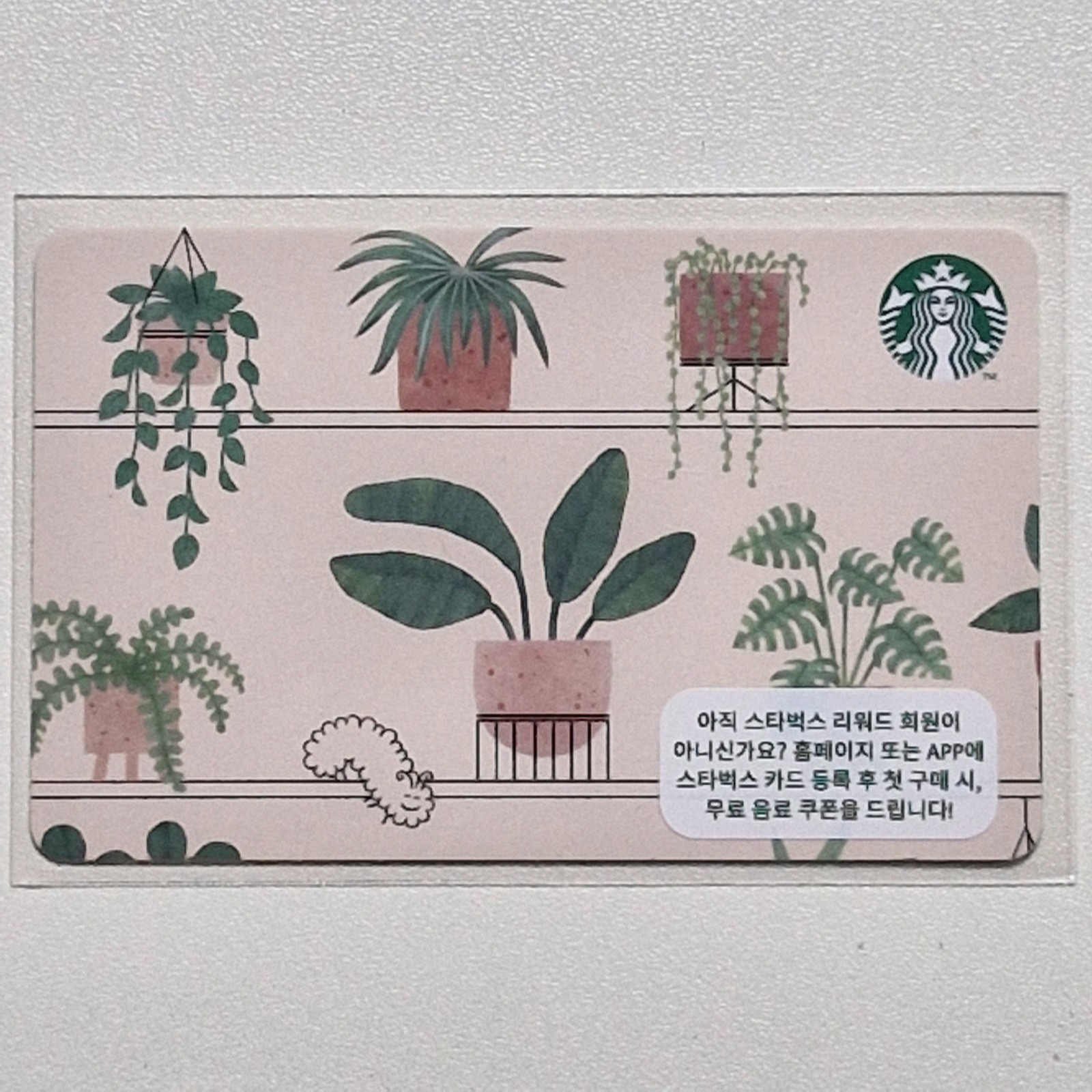 Starbucks Korea Card – Plants – 2021