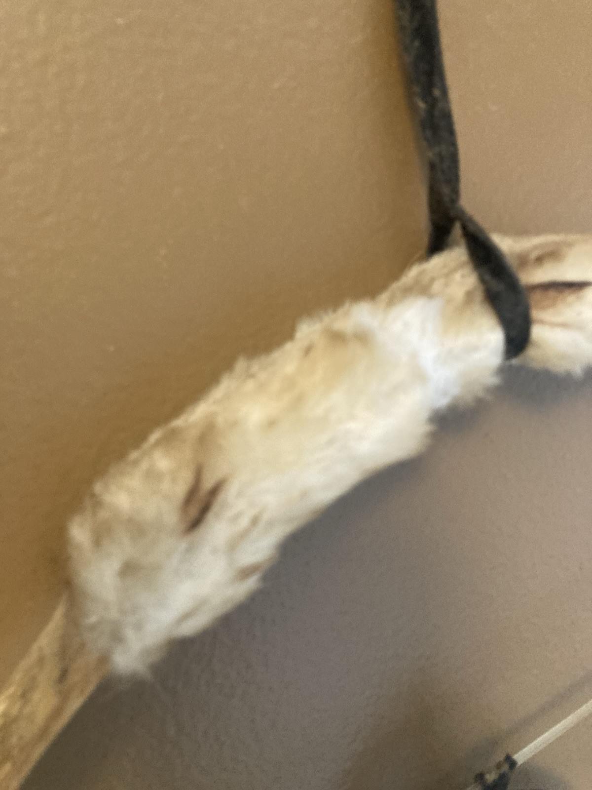 Native American Bow & Arrow set 20″ feathers, Dream Catcher