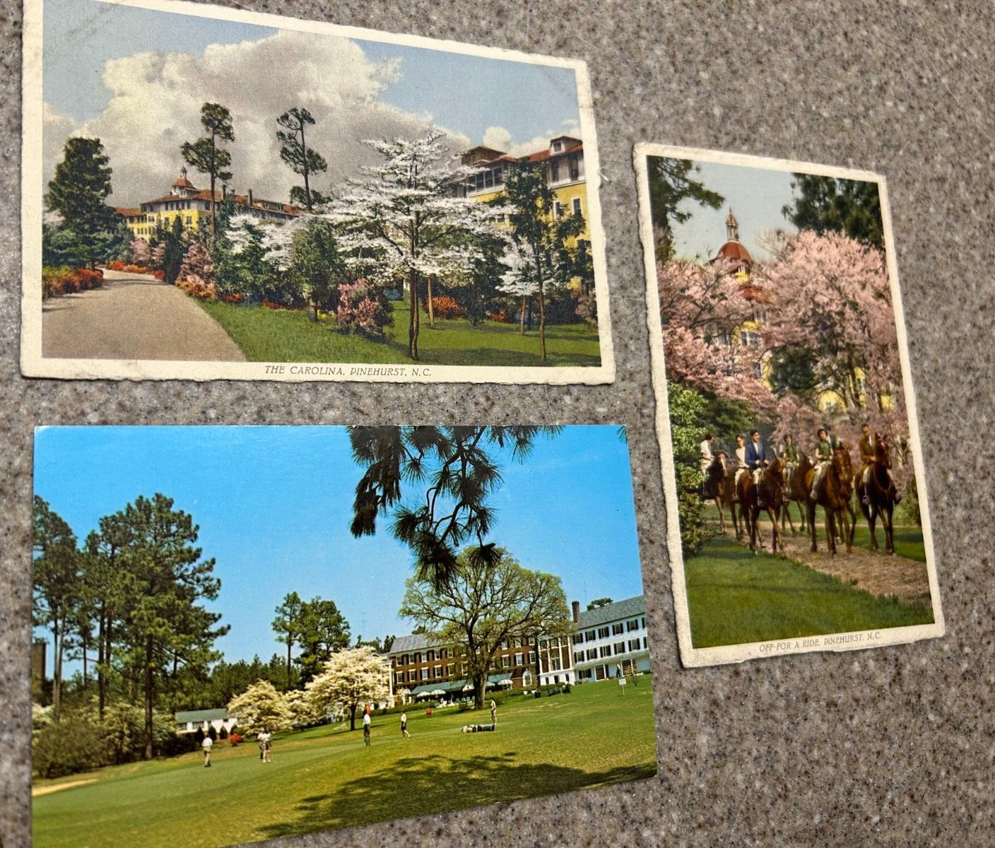 Lot of 3 Vintage Postcard North Carolina 1930s- 1970s Pinehurst Southern Pines