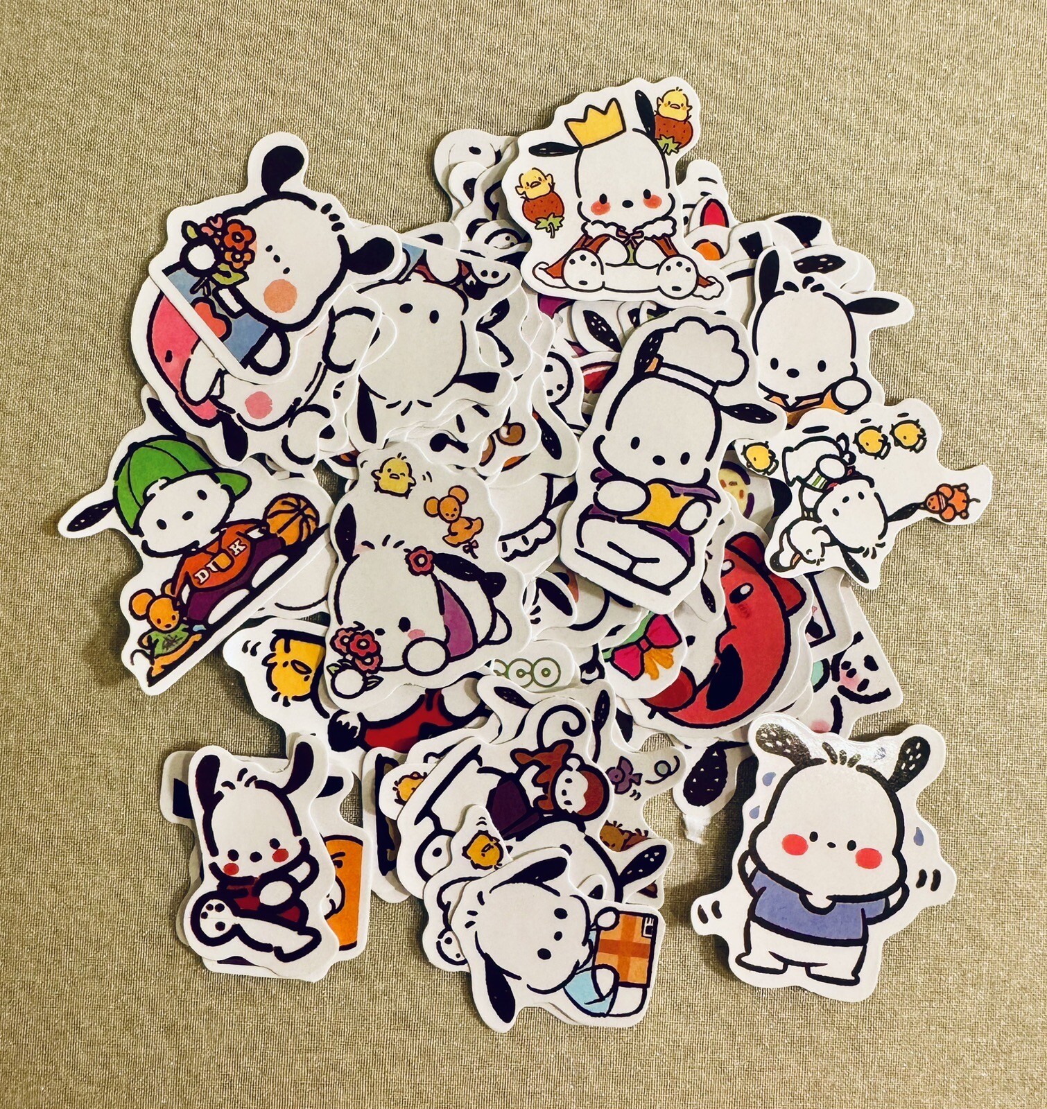 Random Pochacco Stickers (10 pc No Repeat Stickers!)