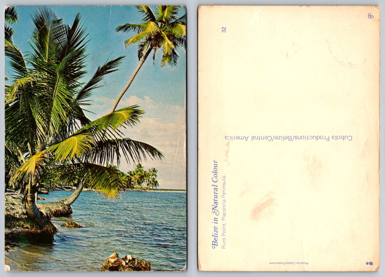 Belize Rum Point Placencia Peninsula Tropical Palm Trees Beach Postcard