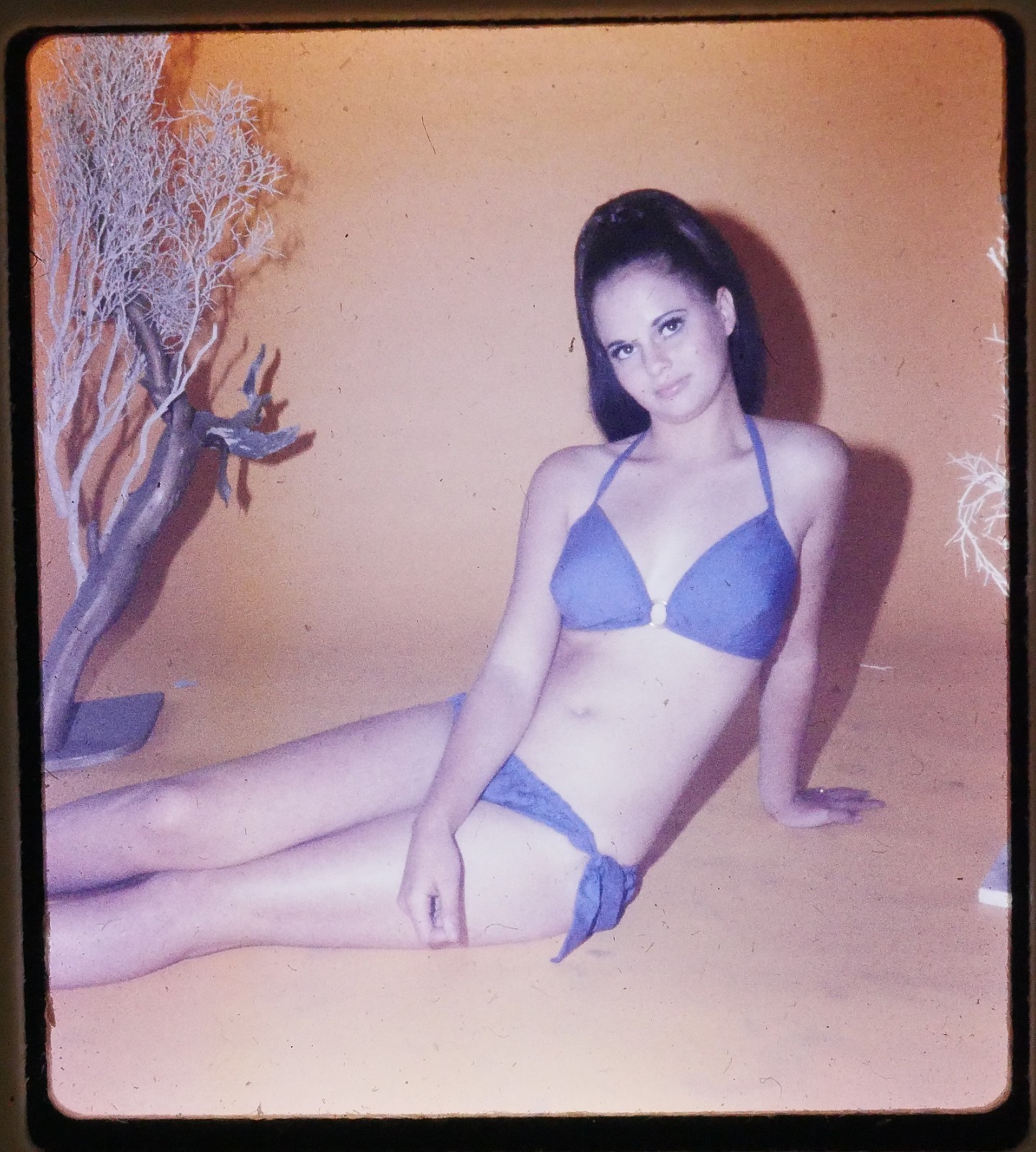 Attractive model posing in bikini indoors – 3D Stereo realist Slide #2565