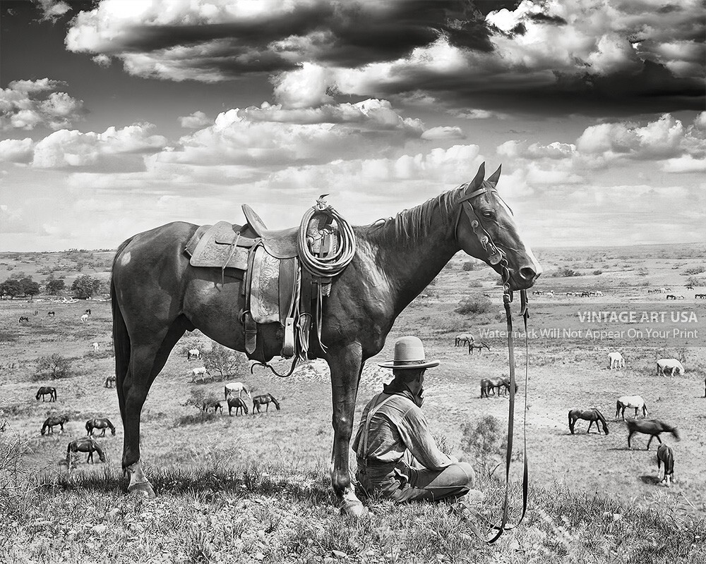 Vintage Texas Cowboy Photo 1910 Horse Wrangler Black and White 8×10 Photo Print