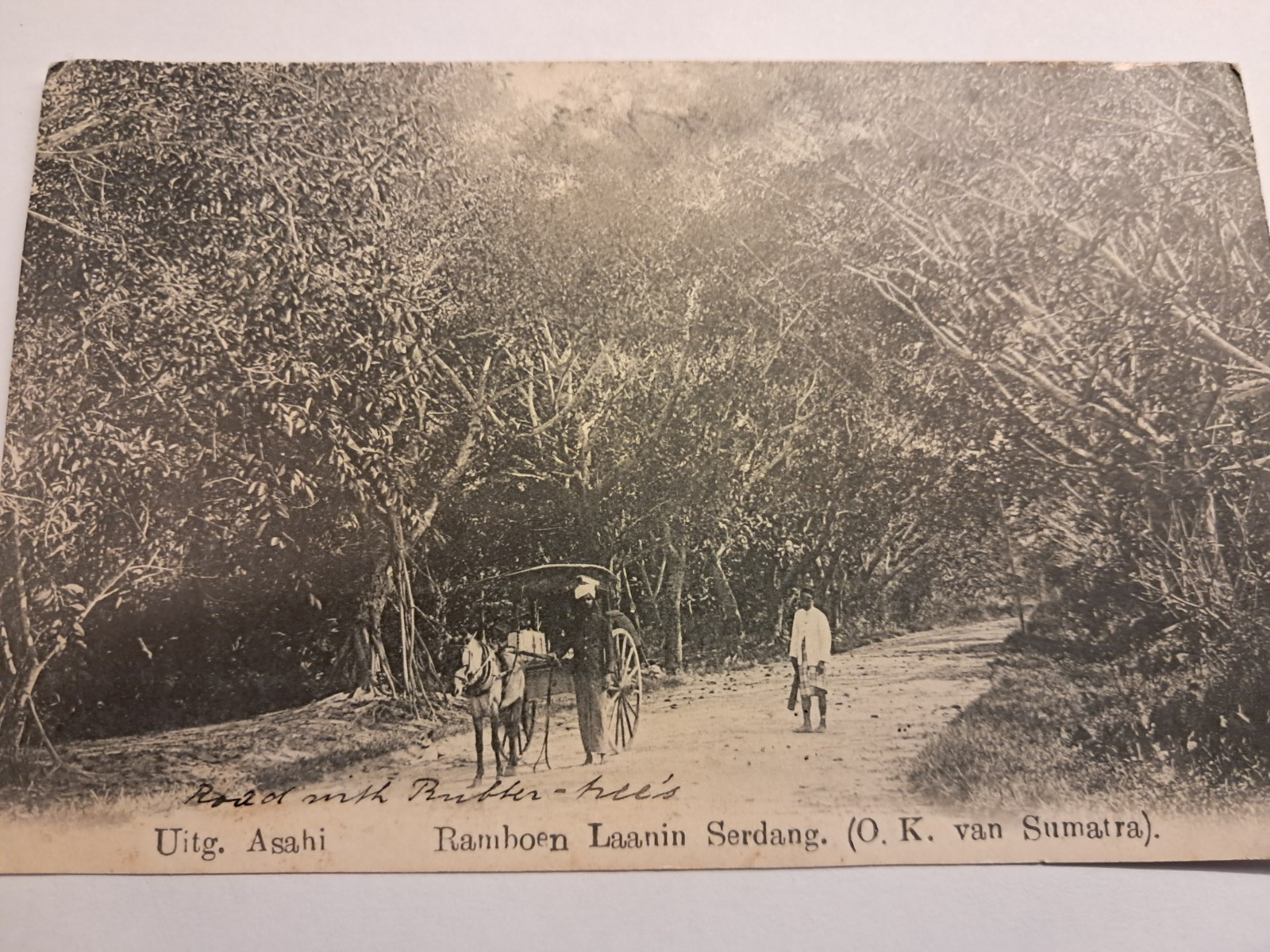 Postcard – Indonesia Sumatra – Uitg. Asahi – Ramboen Laanin Serdang