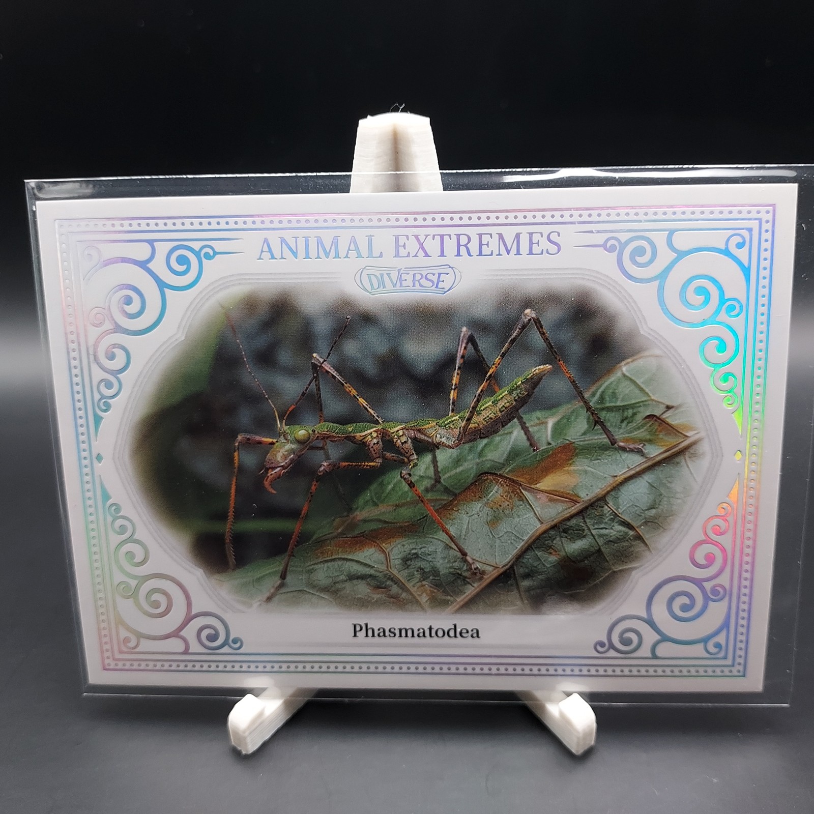 Phasmatodea 2024 KAKAWOW DIVERSE Trading Cards Season 1 – Refractor #DK-B-128