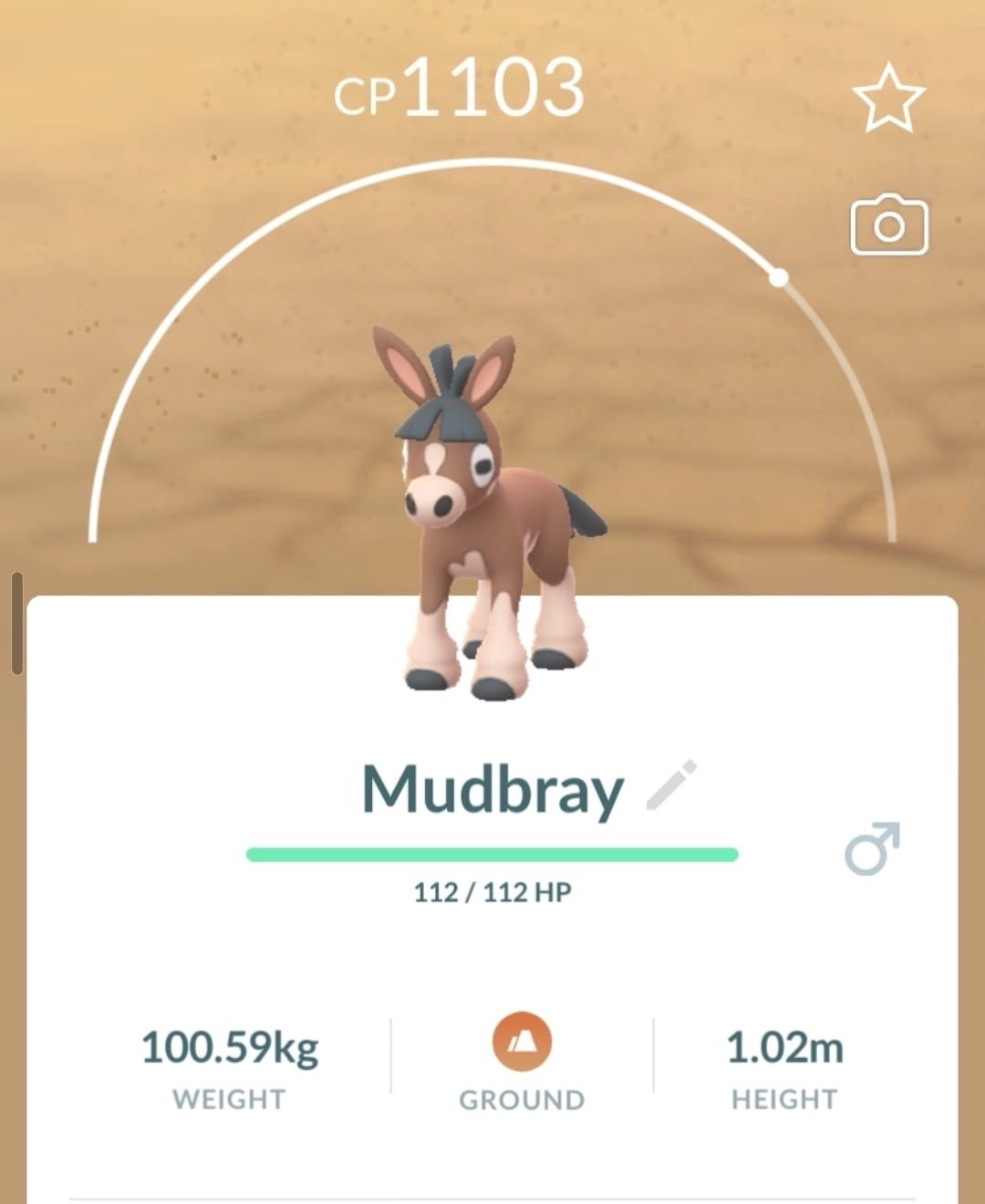 🫏5x Mudbray Trades Safari Zone Event Pokémon Go