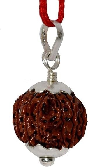 14 Mukhi Rudraksha Nepali Original Certified IGL Lab Tested Special Brown Color