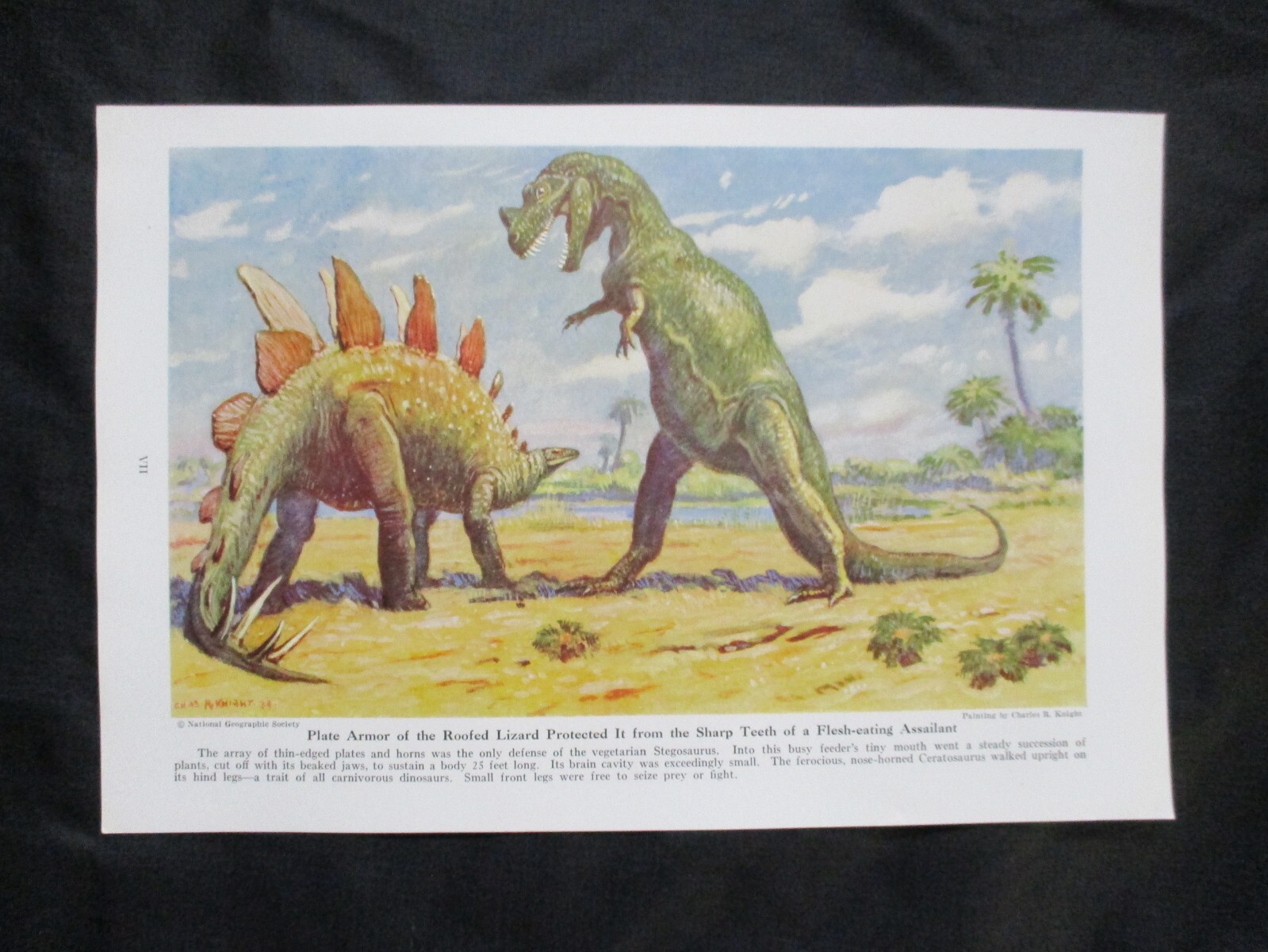 1942 Dinosaur Print by Knight – “Stegosaurus & Ceratosaurus” – FRAME FOR A GIFT